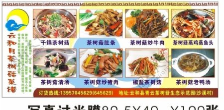 茶树菇菜单图片