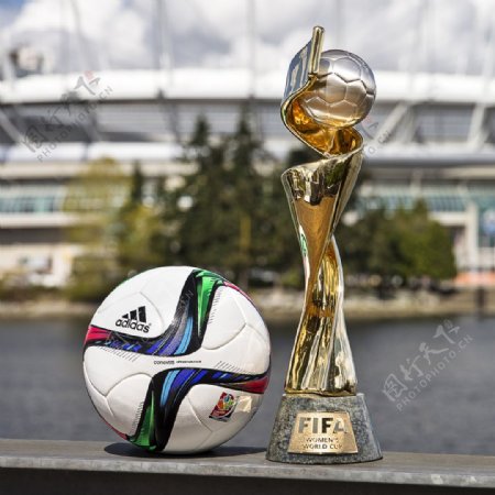女足世界杯比赛用球图片