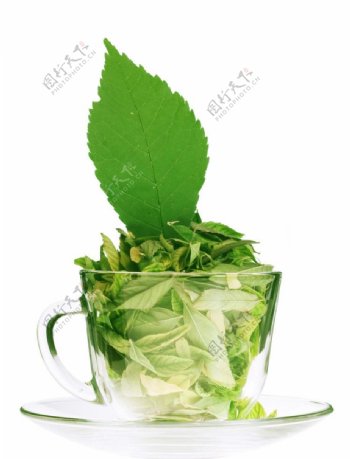 绿茶高清晰图片