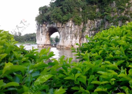 象鼻山图片