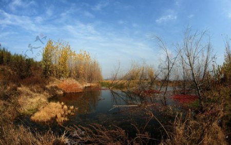 西安浐灞湿地公园图片