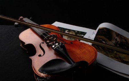 小提琴violin图片