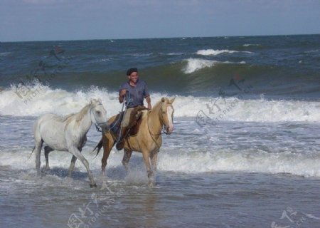 骑马海海边海浪两匹驰骋图片