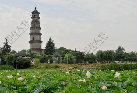 文峰公园图片