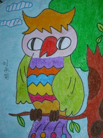 儿童蜡笔画猫头鹰图片