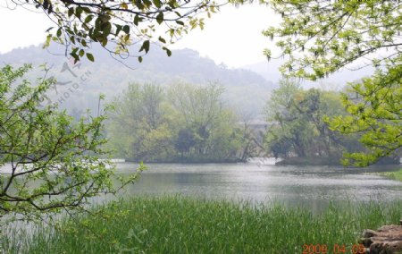杭州西湖春天美景图片