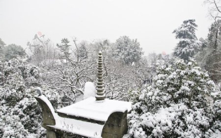 雪景图片