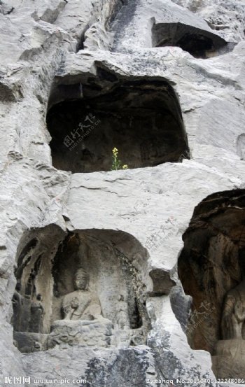 洞穴石刻图片