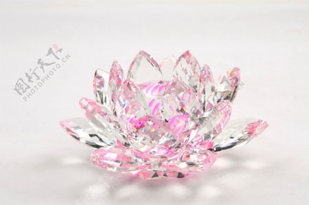水晶莲花粉色图片
