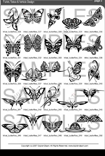 矢量素材集蝴蝶.Butterflies图片