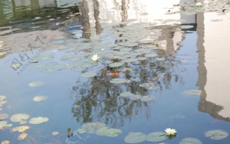 苏州博物馆水池图片