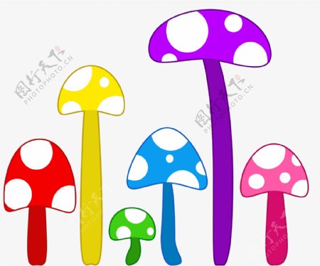五彩蘑菇图片