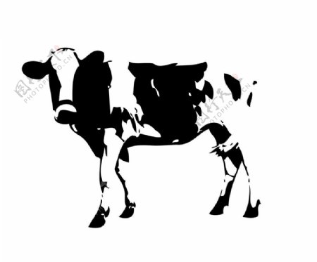 牛的线稿图图片