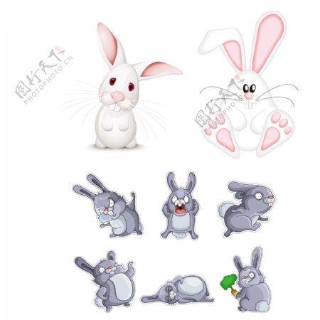 卡通兔子矢量素材图片