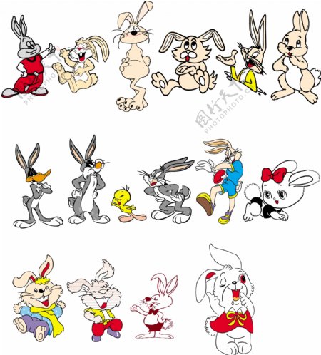 卡通兔图片