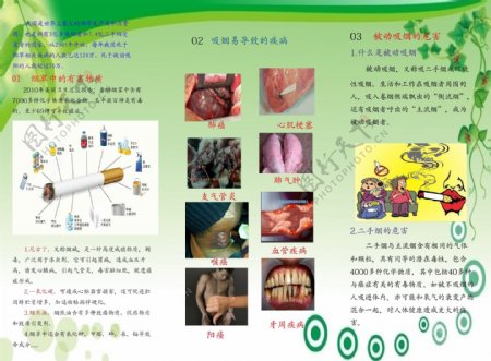 珍爱生命远离烟草图片