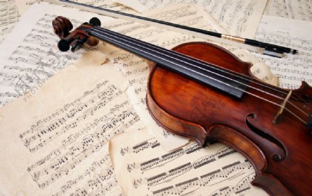 唯美小提琴图片