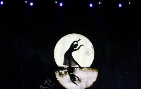 月光下的舞者图片