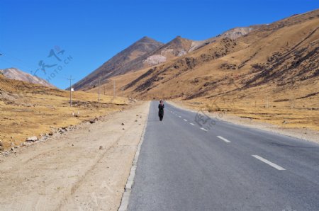 青藏线朝圣之路图片