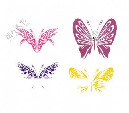 四款蝴蝶1图片