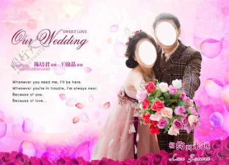 紫红色婚礼背景图片