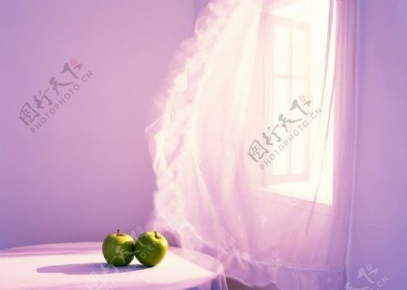纱窗前的青苹果图片