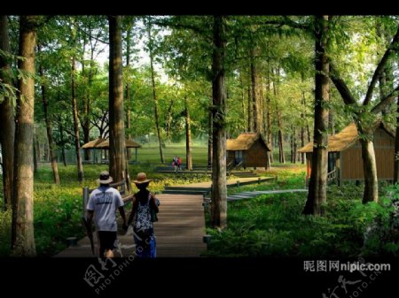 园林绿化景观设计效果图PSD素材图片