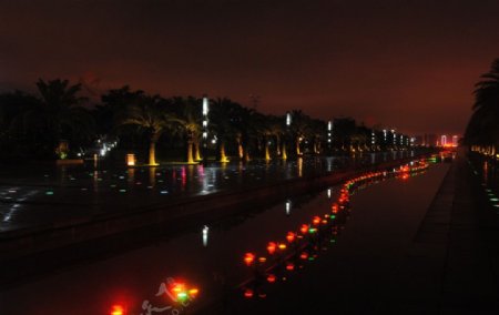 厦门白鹭洲公园夜景图片