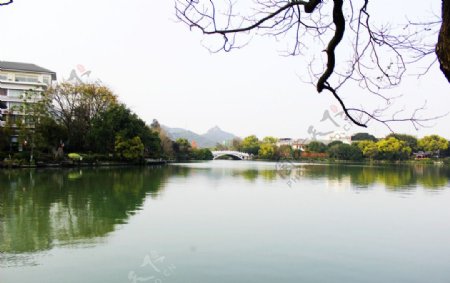 榕湖景点图片