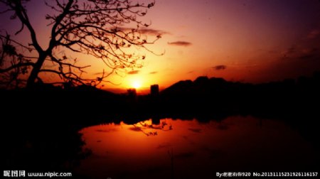 夕阳下的望江小区图片