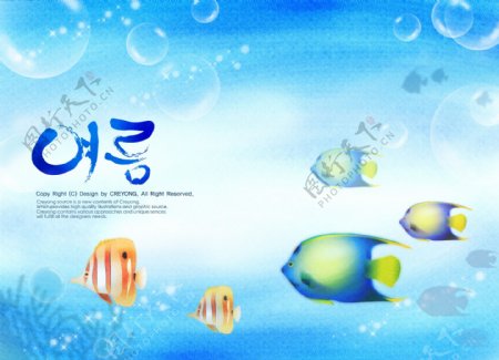 韩国海蓝背景图片