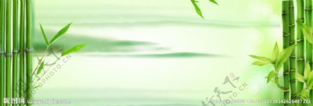 竹子背景图片