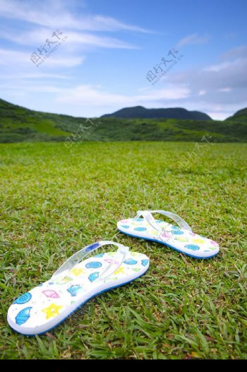 草地上的拖鞋图片