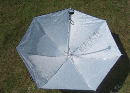 雨伞伞面伞架图片