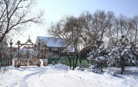 冬季木屋图片