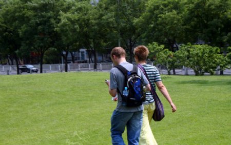 在草地上行走的情侣的背影图片