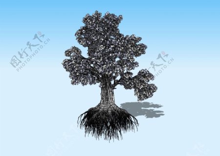 大树3D模型图片