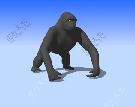 黑猩猩3D模型图片