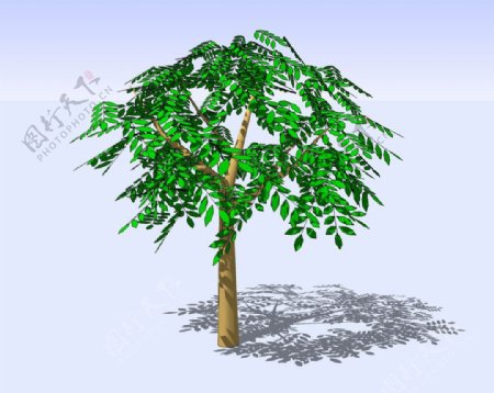 小树3D模型图片