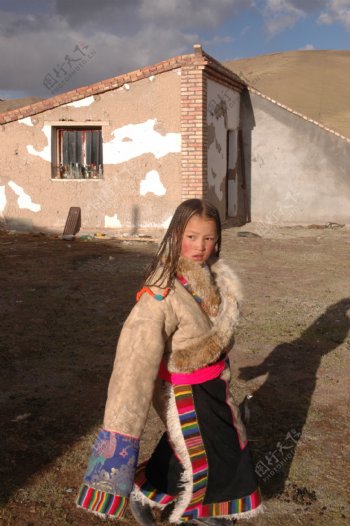 藏族少女图片