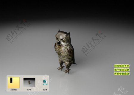 猫头鹰3D三维模型建模图片