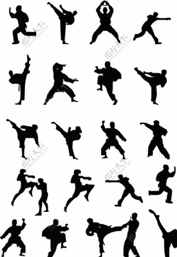 跆拳道动作图片