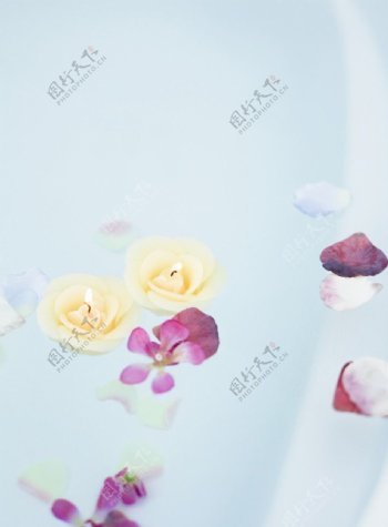 花瓣足浴图片