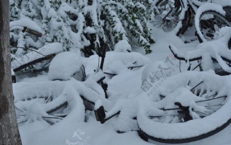 大雪覆盖的自行车图片