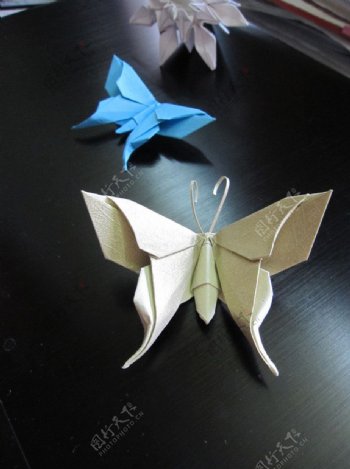 折纸蝴蝶图片