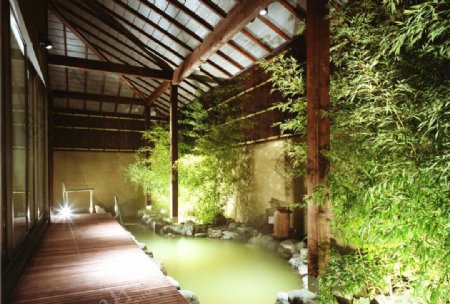 竹林温泉图片