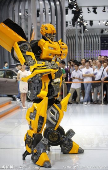 大黄蜂机器人图片