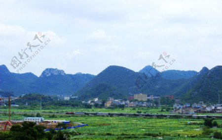 琴潭铁路沿途荷塘图片