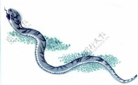 黑白十二生肖国画手绘蛇图片