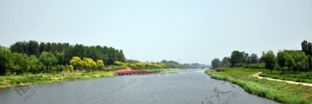 湿地水面景观图片